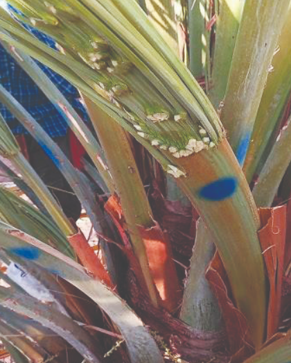 צילום מסך 2026 03 23 204922