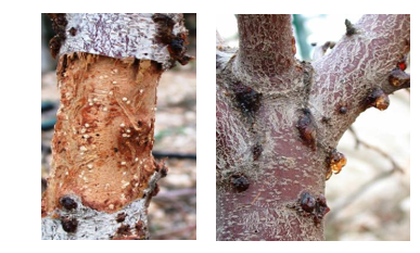 צילום מסך 2026 03 23 210146