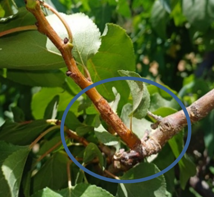 צילום מסך 2026 03 23 213931