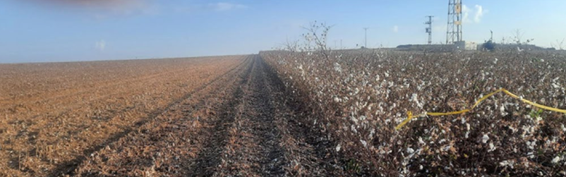 צילום מסך 2026 03 24 001922