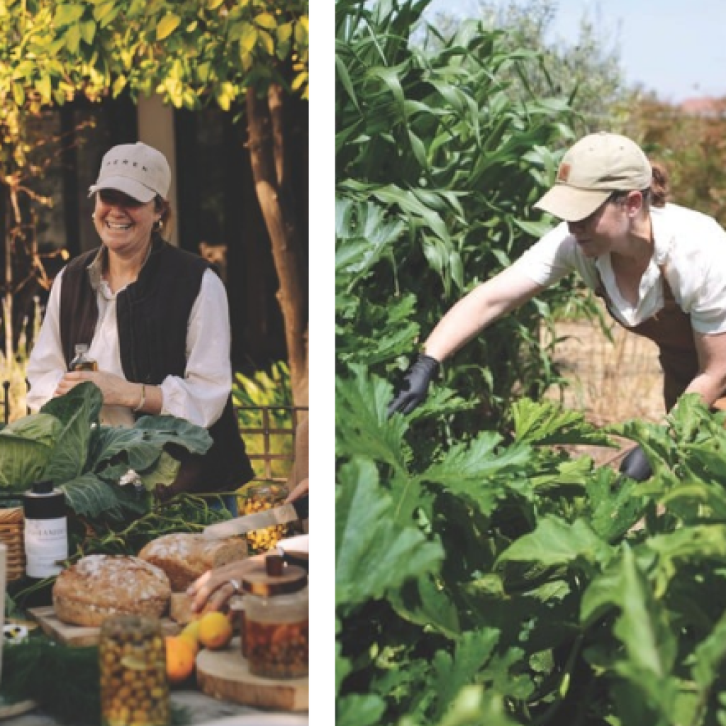 צילום מסך 2026 03 24 232154