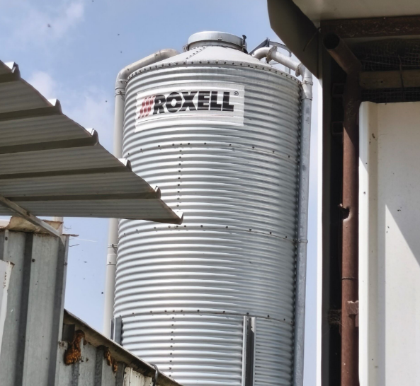 צילום מסך 2026 03 25 114553