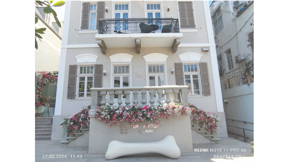 צילום מסך 2026 03 25 213227