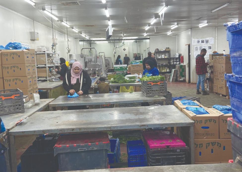 צילום מסך 2026 03 27 224012