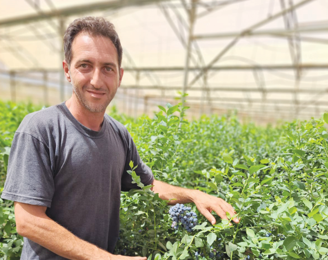 צילום מסך 2026 03 27 224721