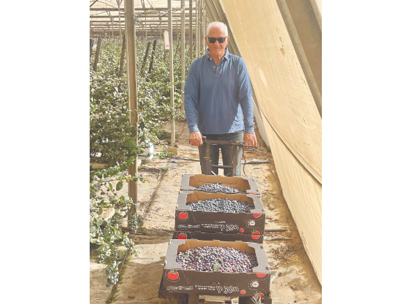 צילום מסך 2026 03 27 231257