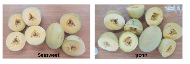 צילום מסך 2026 03 28 200014