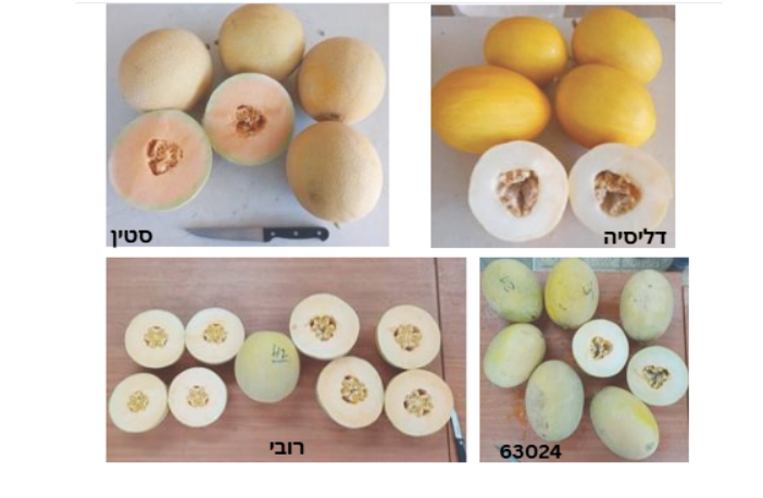 צילום מסך 2026 03 28 200338