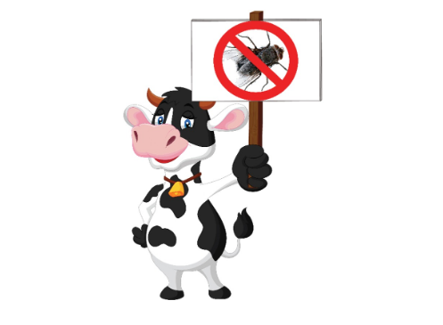 צילום מסך 2026 03 29 013414