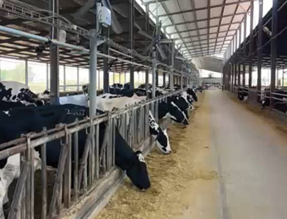 צילום מסך 2026 03 29 015732