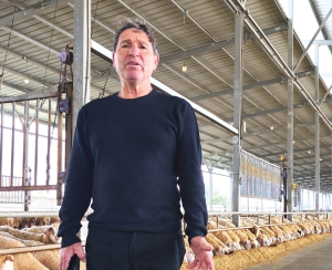 צילום מסך 2026 03 29 111415