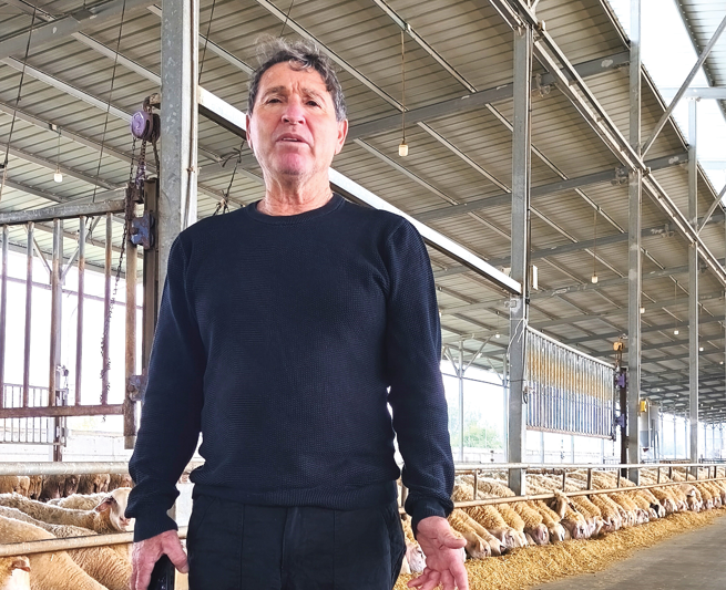 צילום מסך 2026 03 29 111415