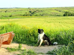 תמונה 1 1d249c58 0803 4f11 9540 ccb8f7613983