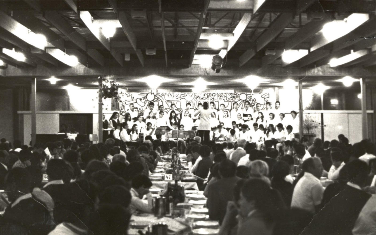 תמונה 1 unnamed