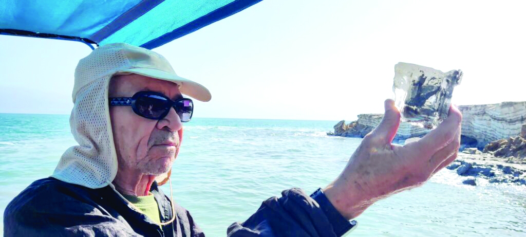 תמונה 2 image 1773926241 1024x461