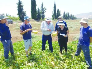 תמונה 3 טעימות שדה