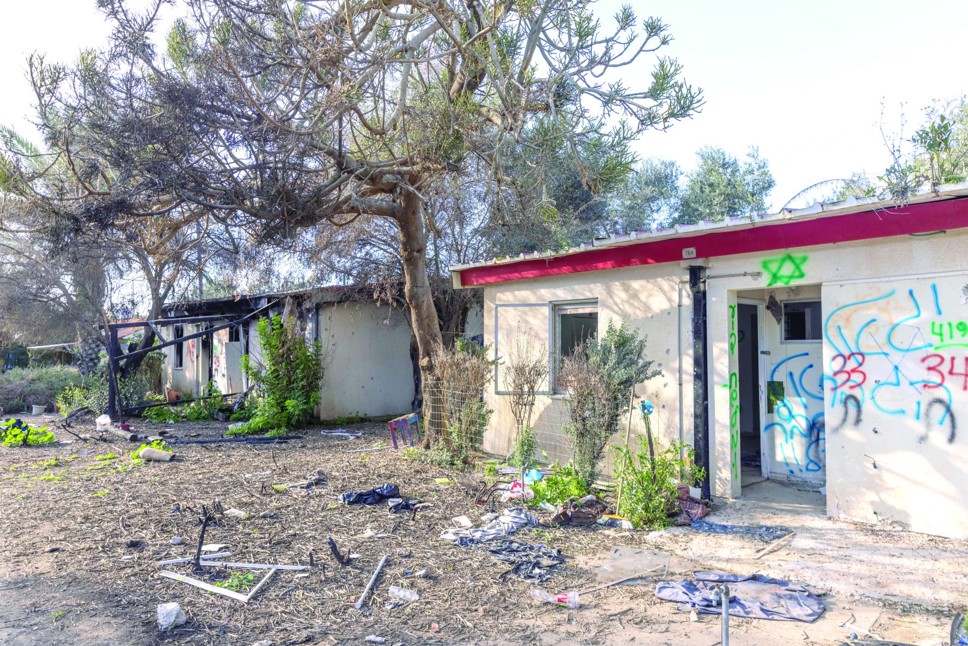 תמונה 4 f240129ya11 optimized