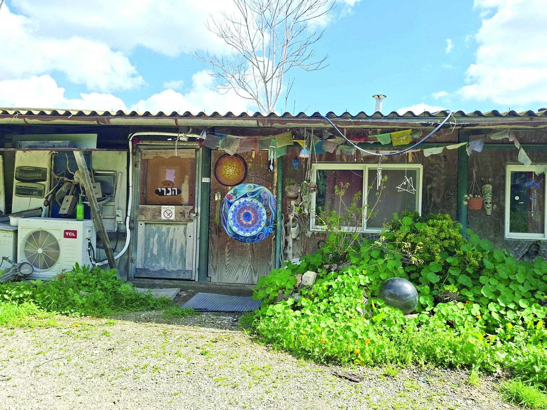 תמונה 6 20260226 112641 optimized