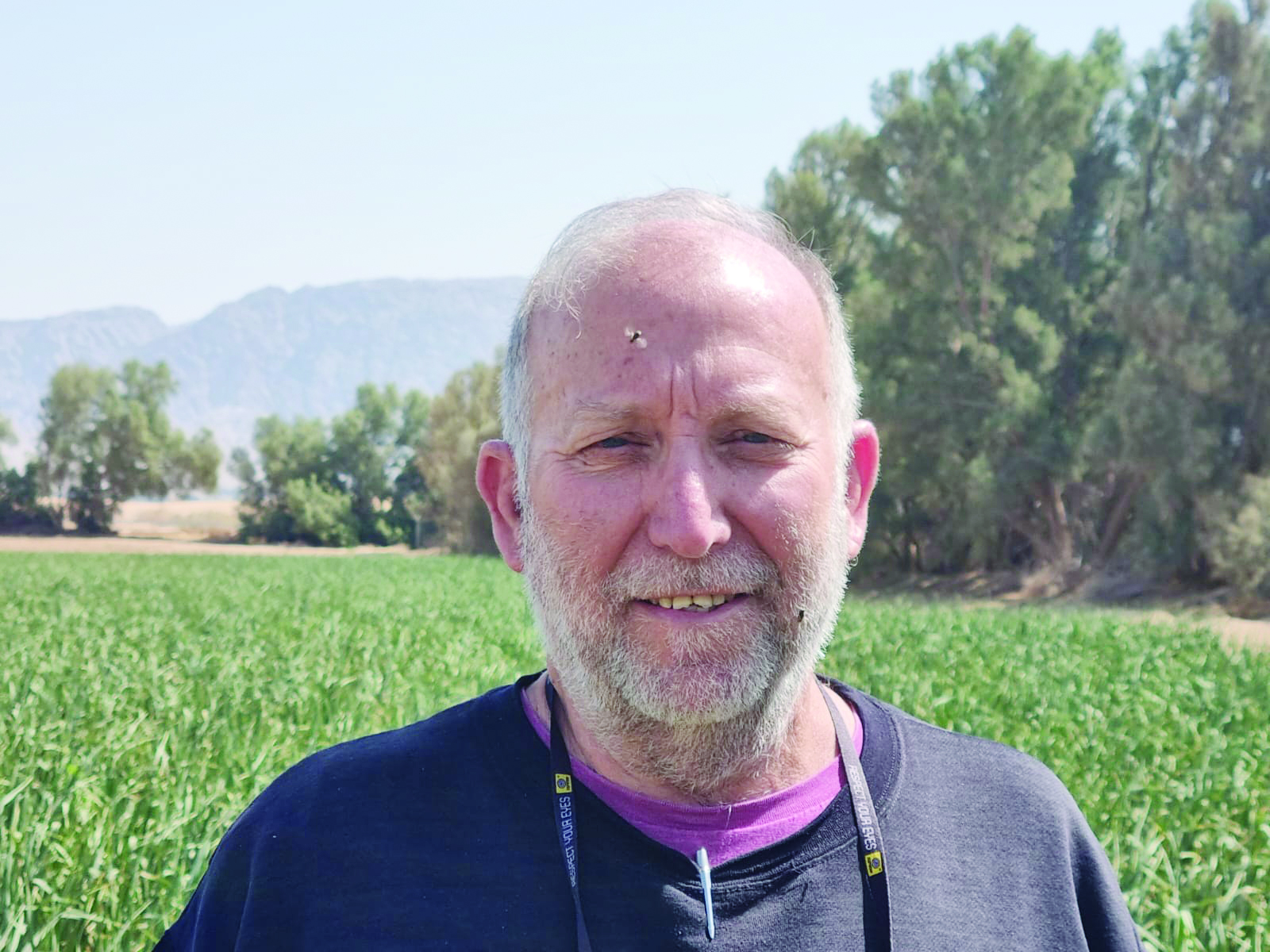 תמונה דרול1