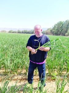 תמונה דרול2