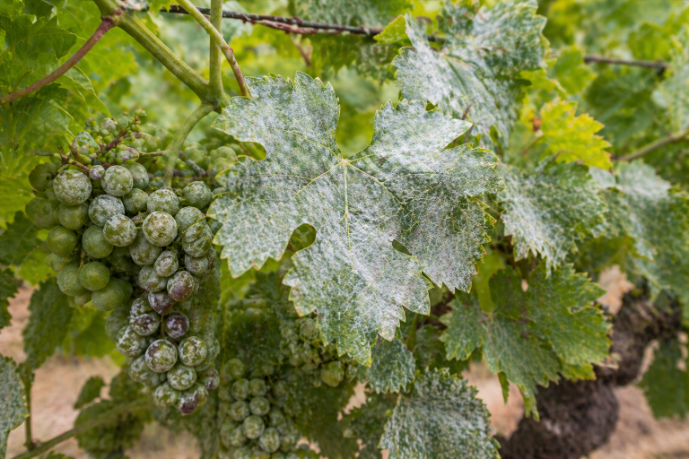 ChatGPT Image Apr 28, 2026, 01 50 25 PM