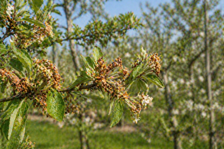 ChatGPT Image Apr 28, 2026, 12 00 53 PM