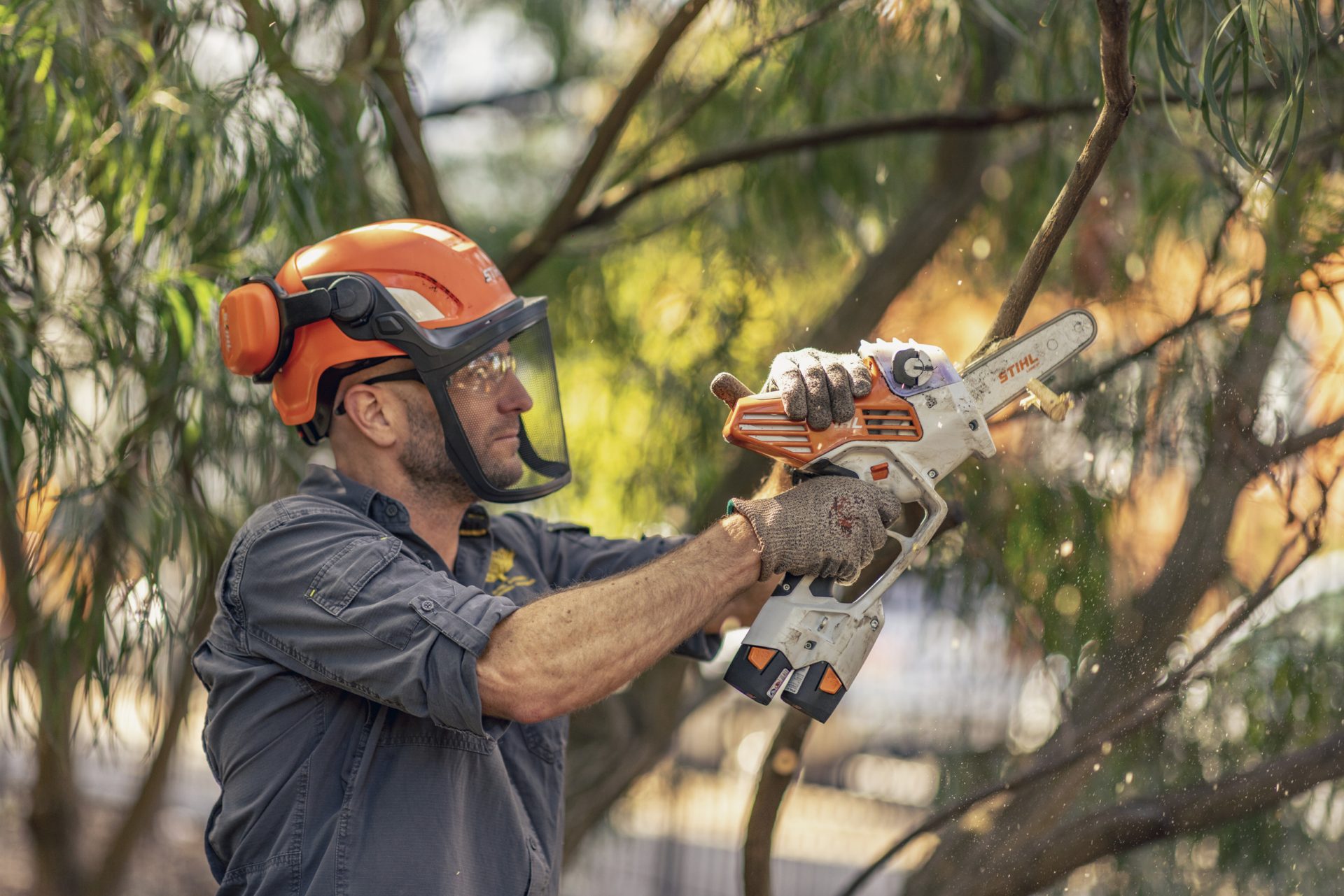 Greening cities HQ P 2025 08 0032 Global 137776