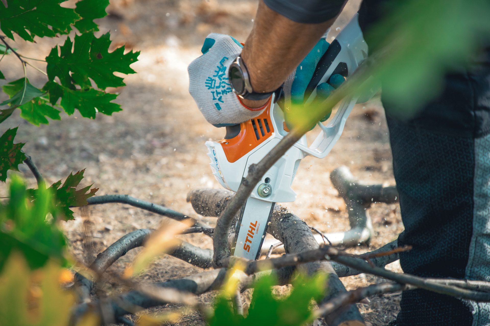 Urban Forestry HQ P 2025 06 0022 Global 136428