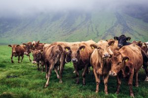 shutterstock 1718871112