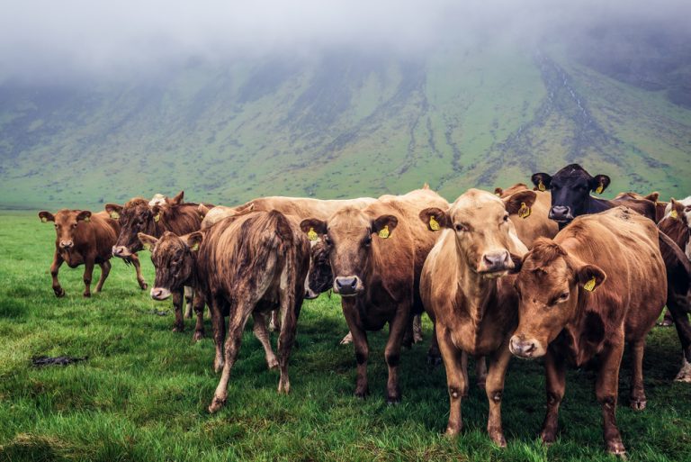 shutterstock 1718871112