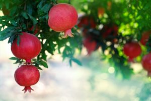 shutterstock 2500256817