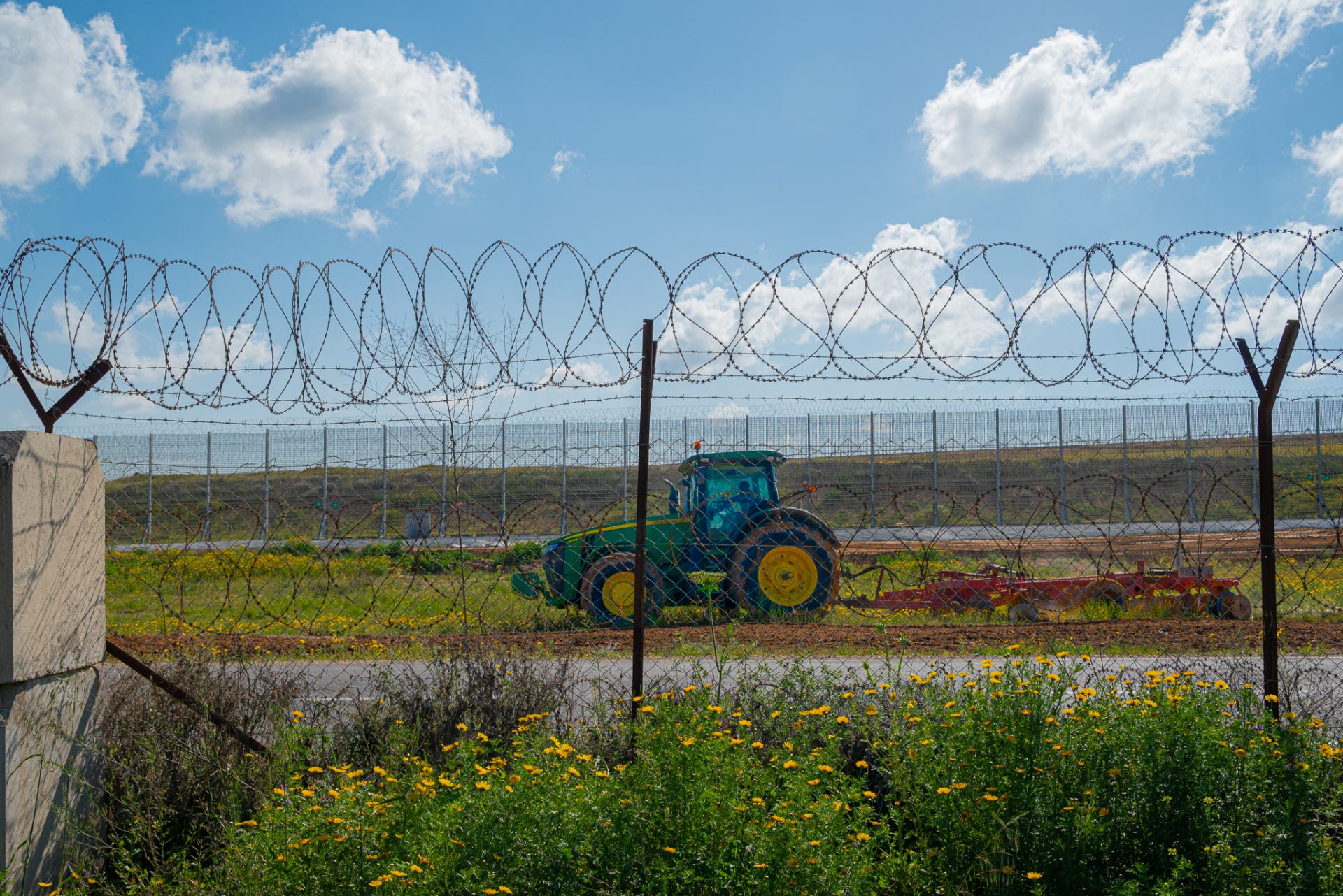 אבוקדו על קו התפר ארהלה פוקס