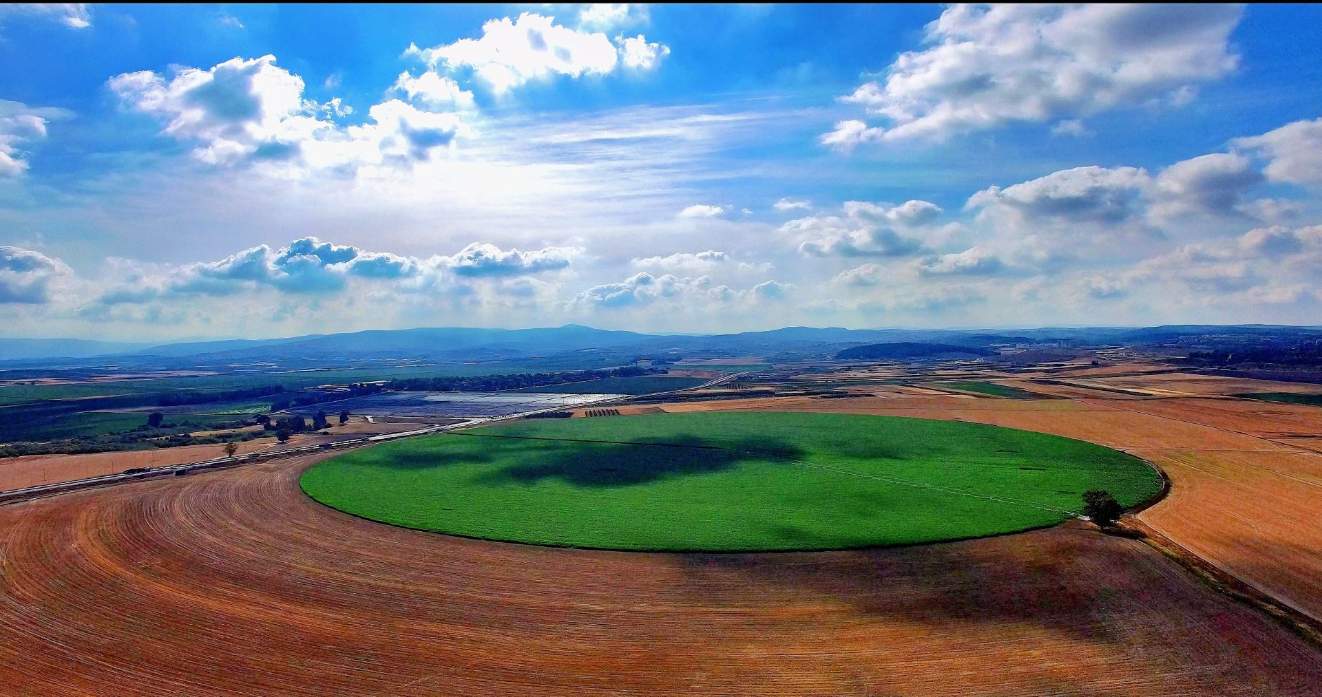 ארץ חלב ודבש אורן אוחנה