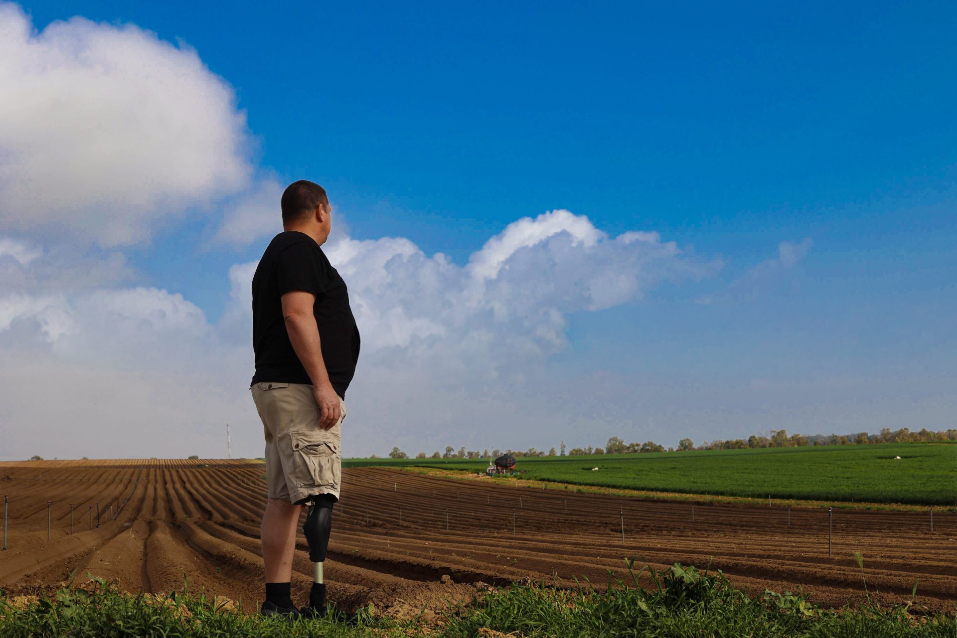 החיטה צומח שוב אורי שיר