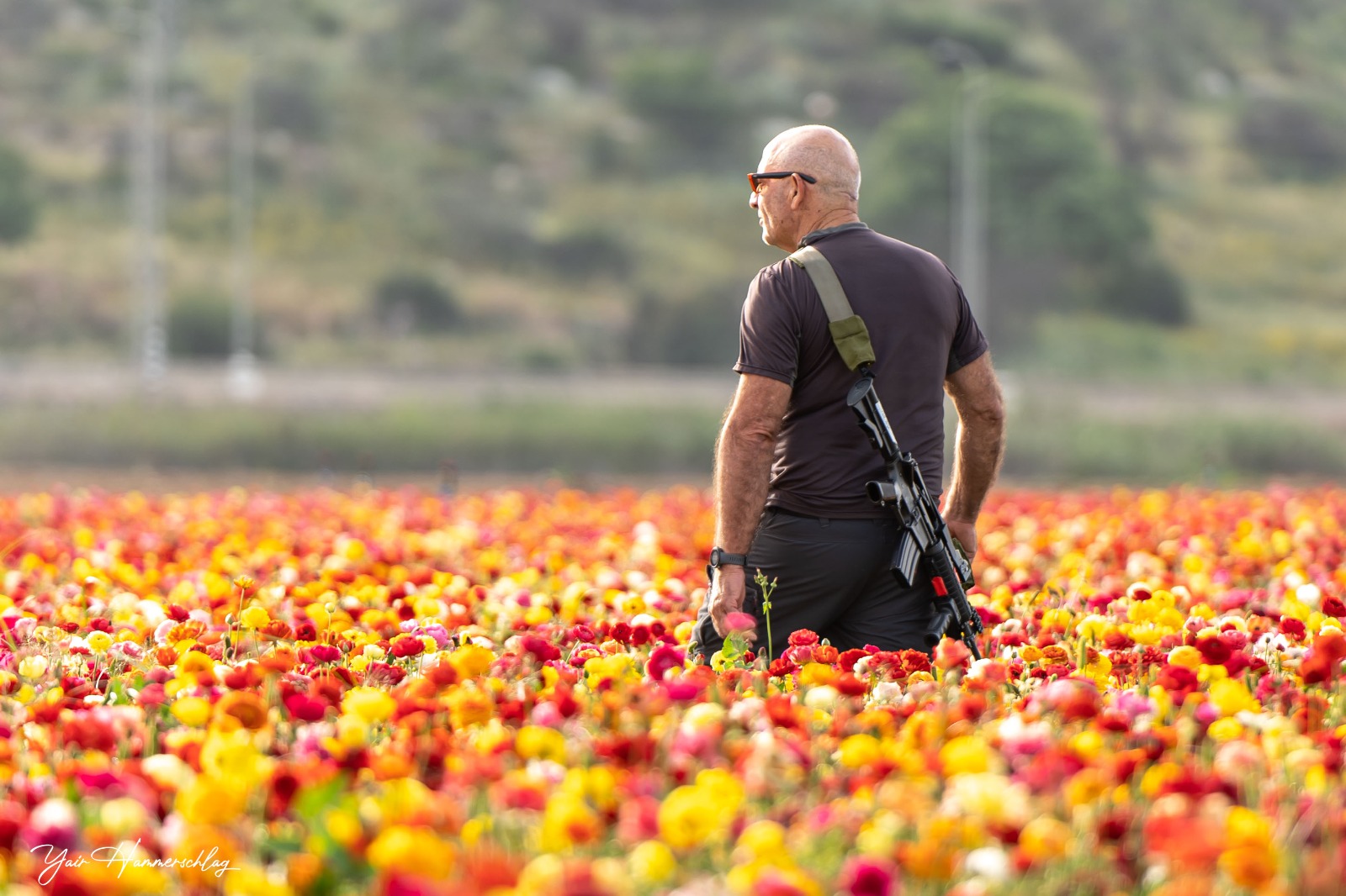 פרחים בקנה יאיר המרשלג