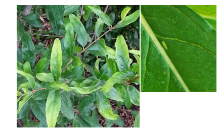 צילום מסך 2026 04 14 102326