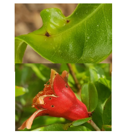 צילום מסך 2026 04 14 102415