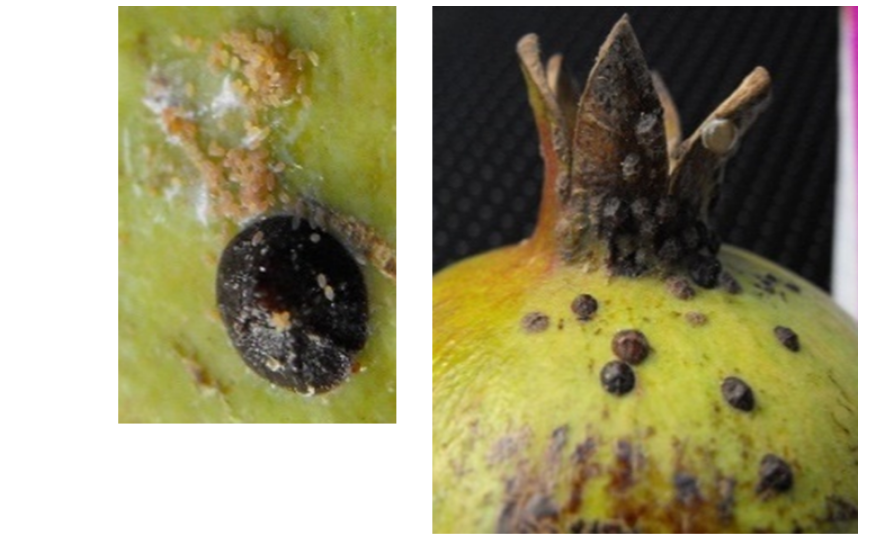 צילום מסך 2026 04 14 103253