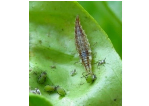 צילום מסך 2026 04 14 104740