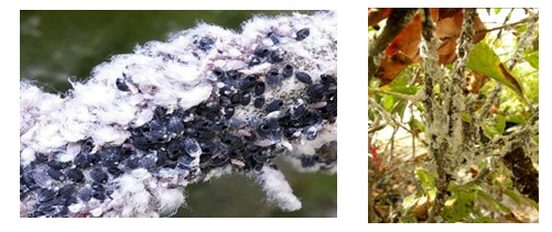 צילום מסך 2026 04 14 110551