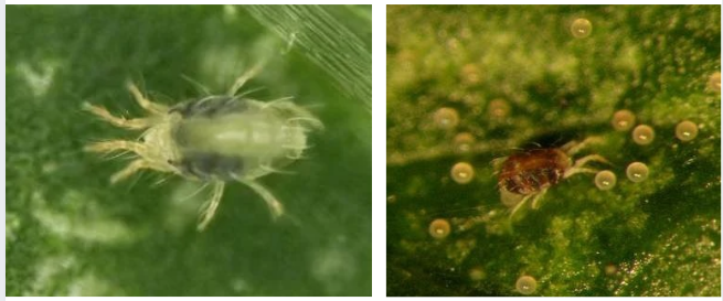 צילום מסך 2026 04 14 110701