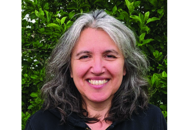 צילום מסך 2026 04 14 220641