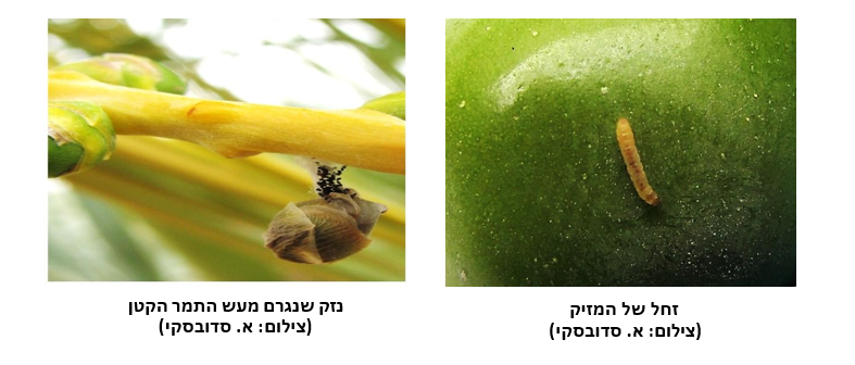 צילום מסך 2026 04 27 183901