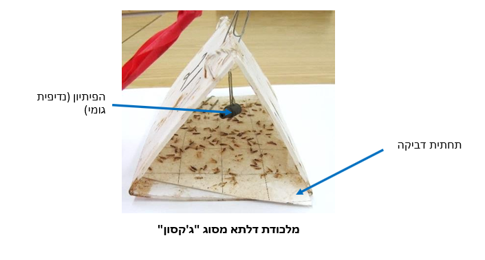 צילום מסך 2026 04 27 183924