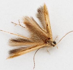 צילום מסך 2026 04 27 190843