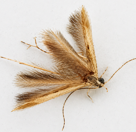 צילום מסך 2026 04 27 190843