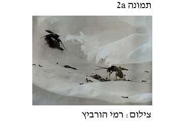 צילום מסך 2026 04 27 192659