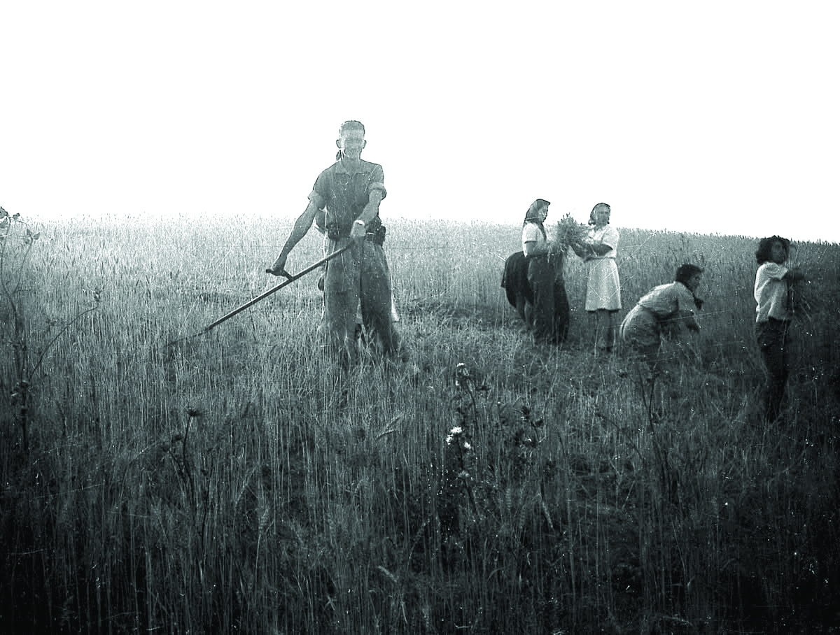 תמונה 2 274e3cec e818 41e8 9dc3 19814035f486