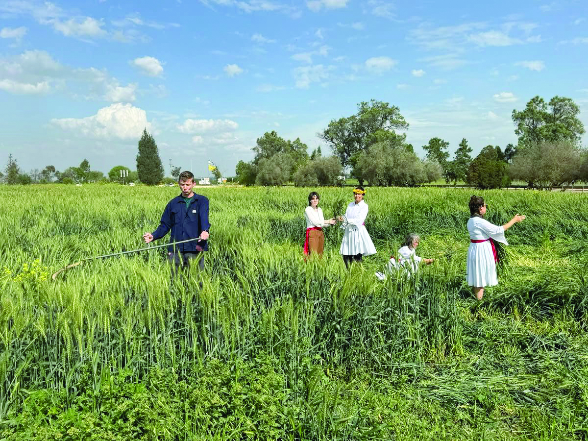 תמונה 3 11b71b00 ff1a 465f ab00 df1d5a379dda