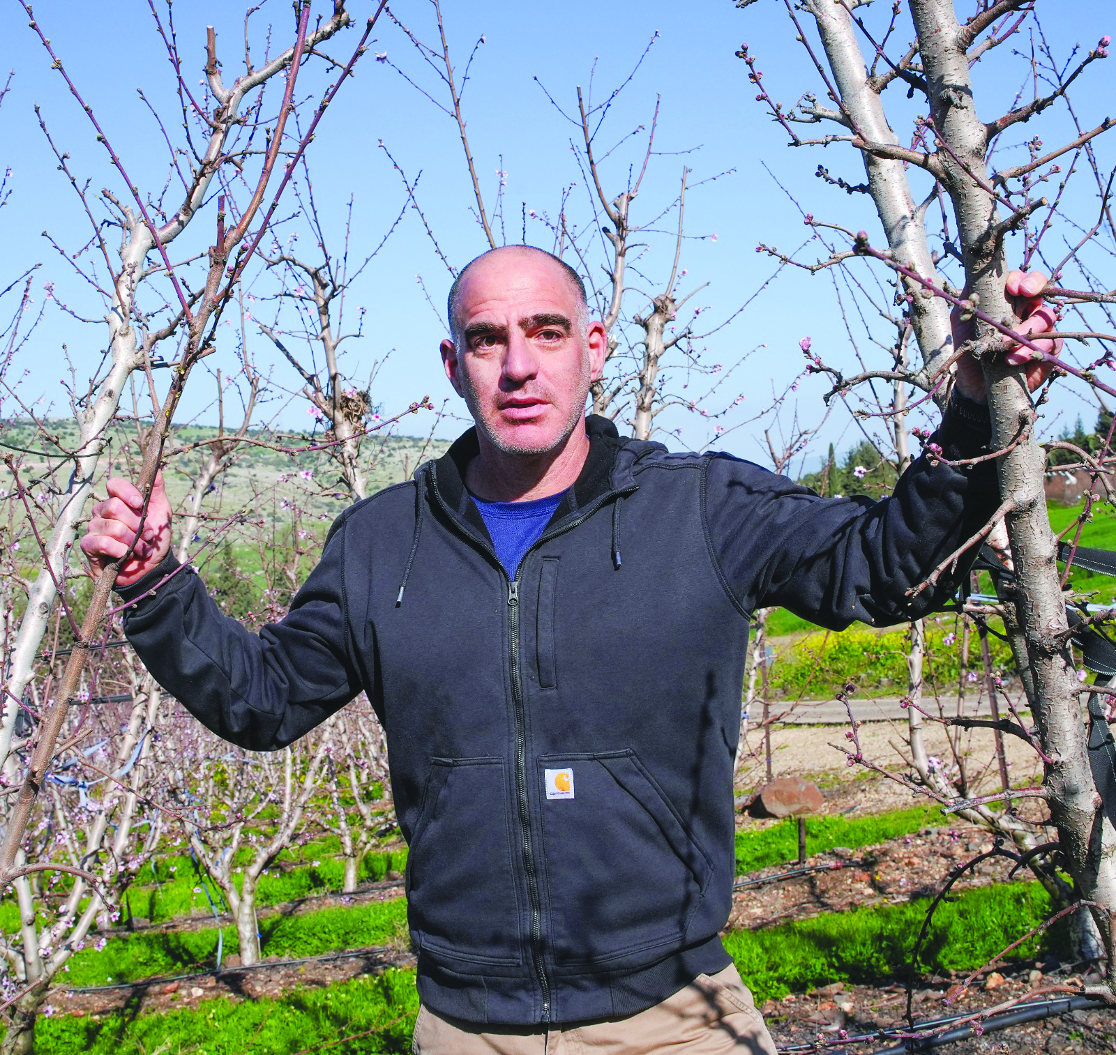 תמונה יראון1